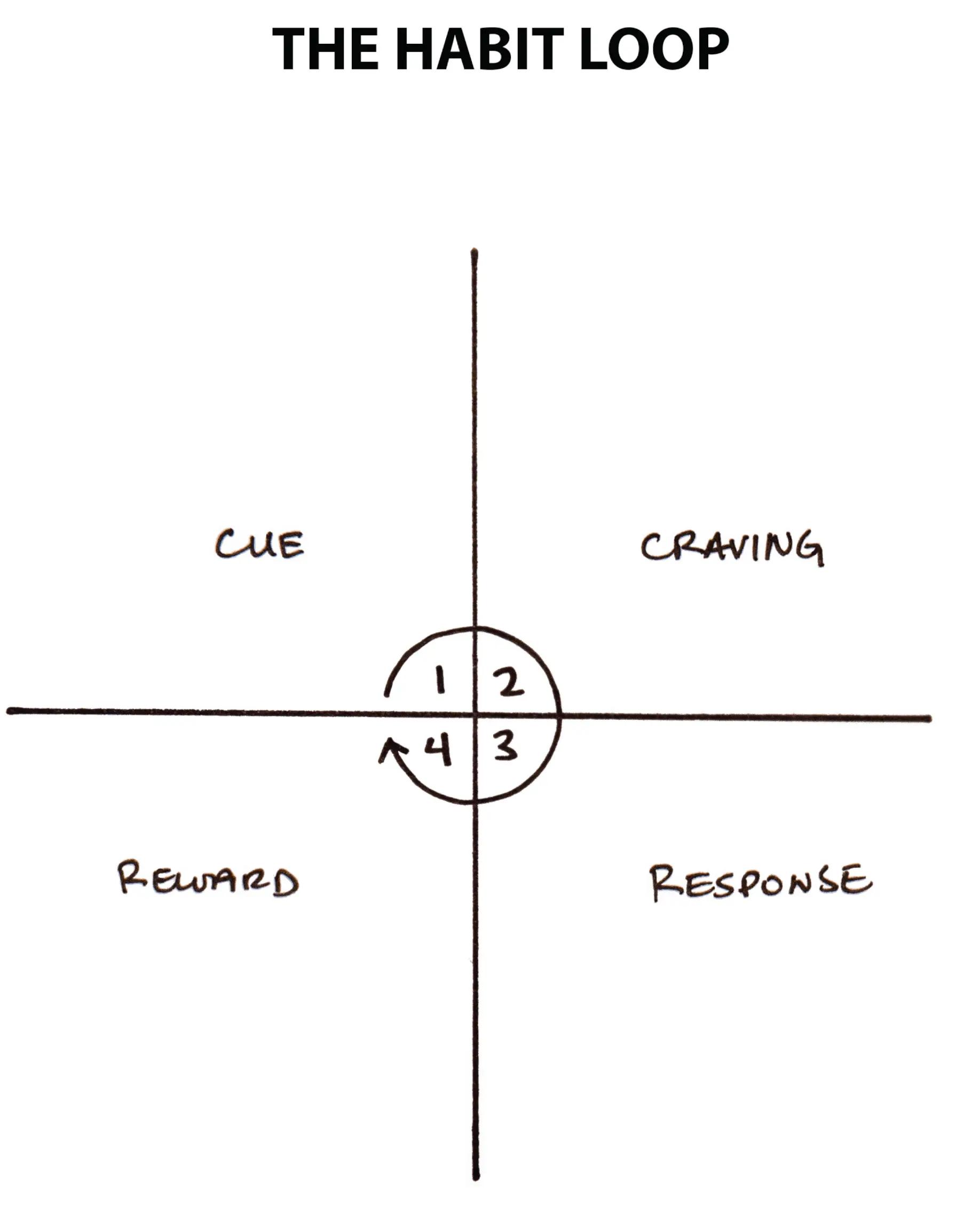 The habit loop